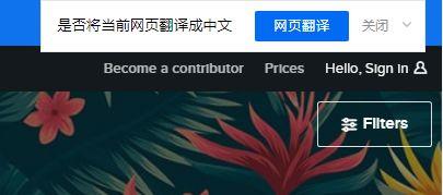 外国兼职赚钱网站,海外上传视频赚取收益的平台