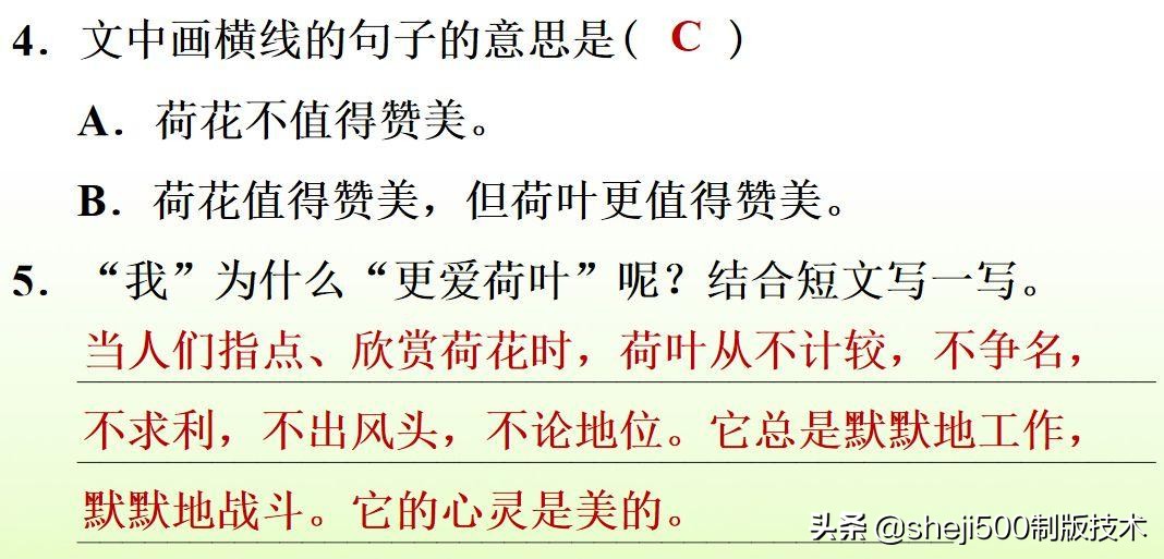 部编版三年级下册语文3荷花讲解,三年级下册部编语文荷花教学视频