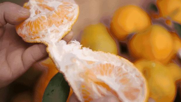 不知火丑柑缺点,不知火丑柑的缺点