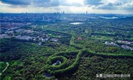 江苏祖国的大好河山,大好河山江苏