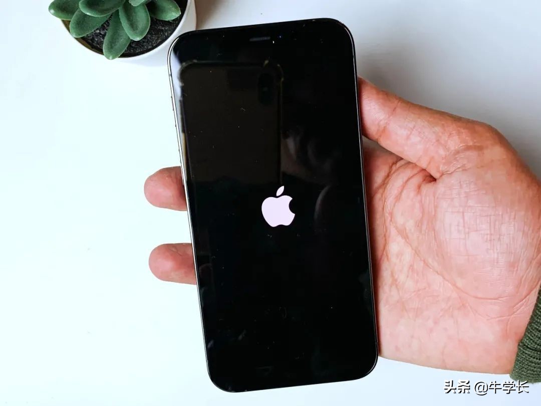 iphone白苹果保留数据,苹果开机出现白屏怎么办