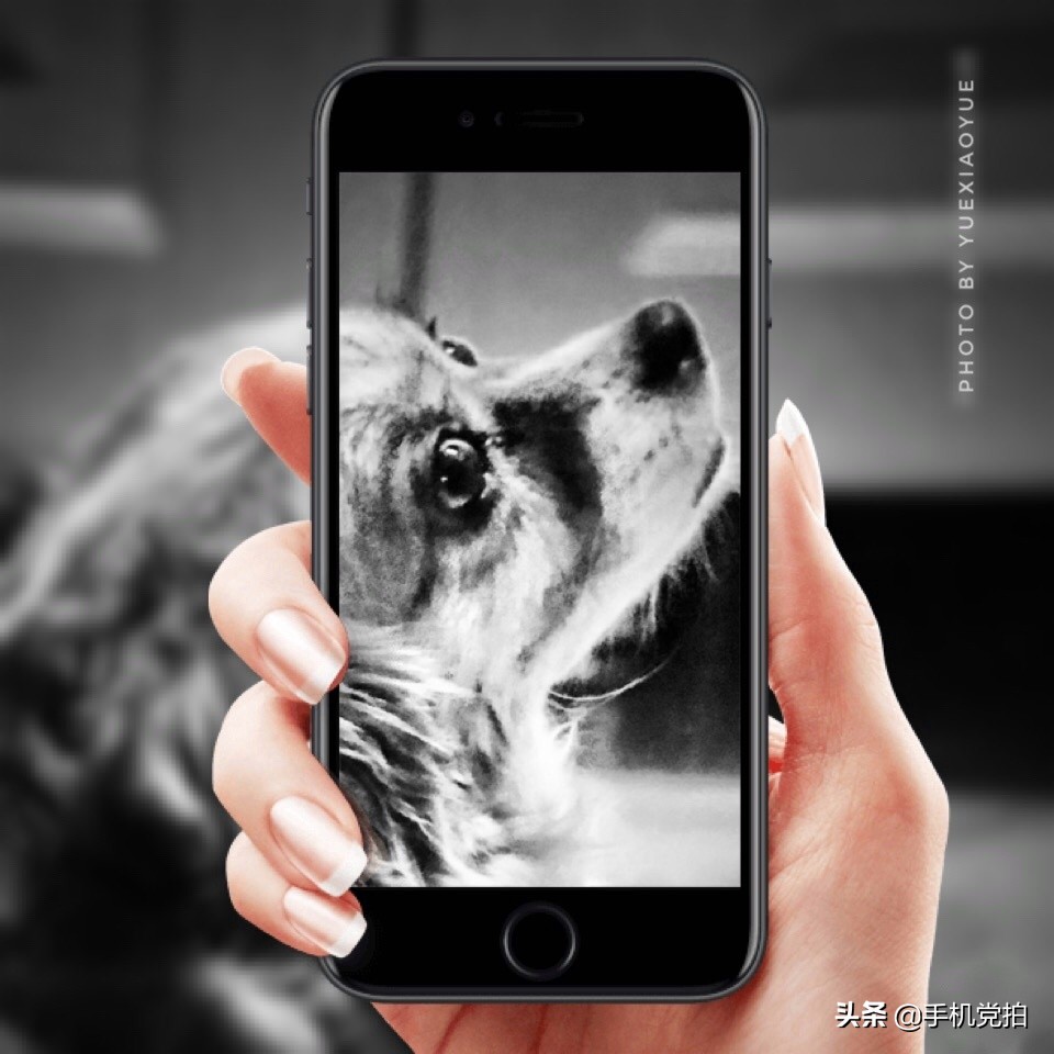 手机拍照模糊如何修复清晰度,手机画质模糊怎么办