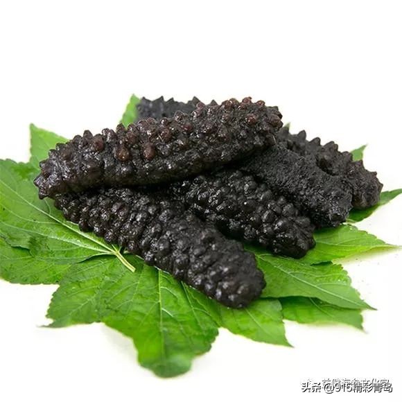 中国最好的海刺海参,黄金刺参西沙群岛深海纯野生海参