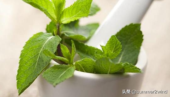 不做臭男人夏季新款,十款平价夏日抑汗除味好物推荐