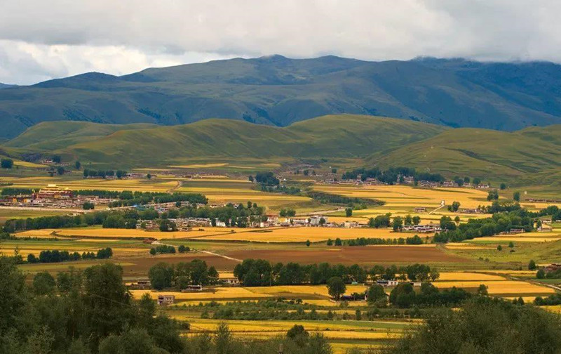 道孚县特色小吃,四川道孚有什么特产