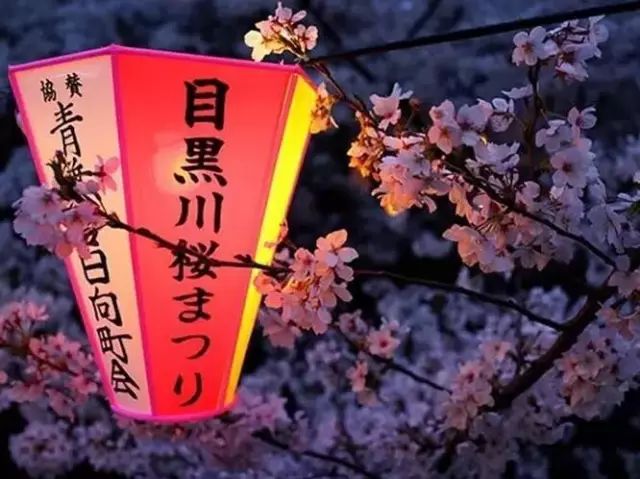 【酷游纪】日本最浪漫“樱花季”，粉红秘境遇见最美的＂樱吹雪＂