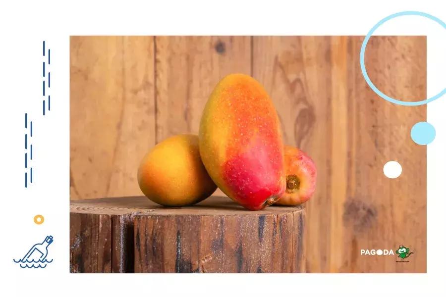 贵妃芒号称是芒果之王皮薄多汁,贵妃芒树上摘下来就能吃的芒果