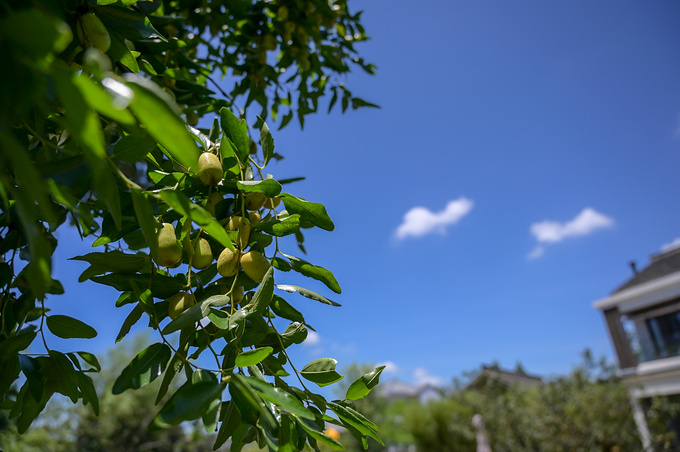 中秋嘉兴玩的地方推荐,八月嘉兴