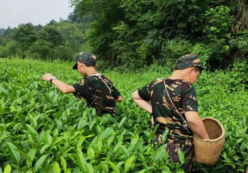 蹇冭埅绾垮浠よ惀鍖椾含,蹇冭埅绾垮浠よ惀