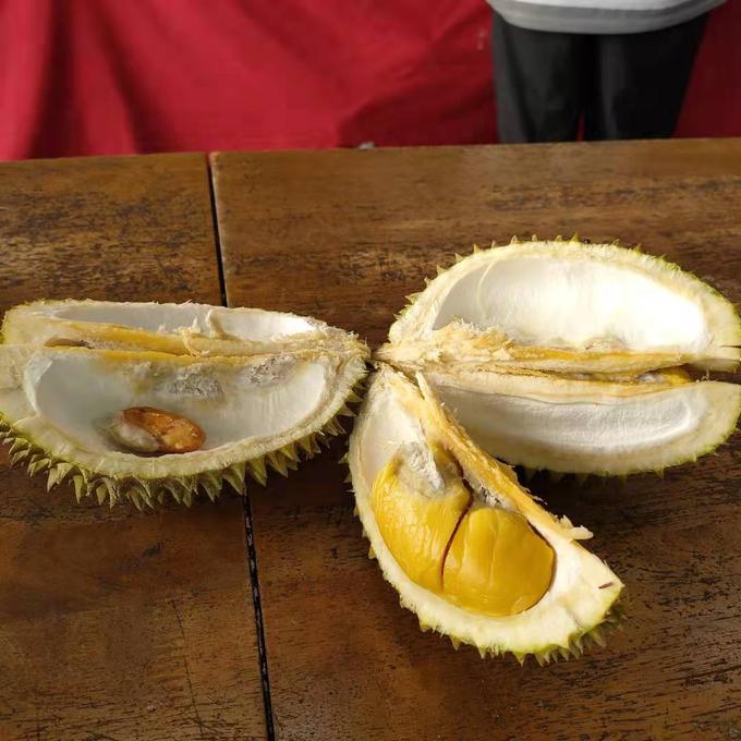 马来西亚自由行团购双人,2000块畅游三亚