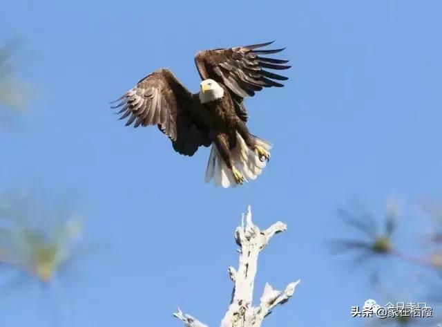 栖霞的美食,栖霞有哪些好吃的美食