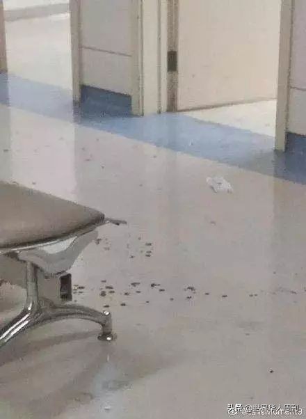 被砍医生陶勇恢复出诊,砍伤陶勇医生怎么处理