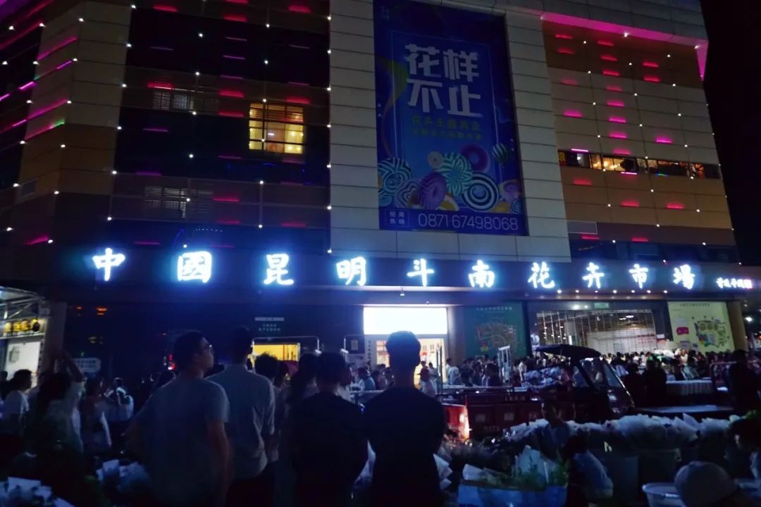 玫瑰花10支批发高原红,最好看的鲜花批发市场