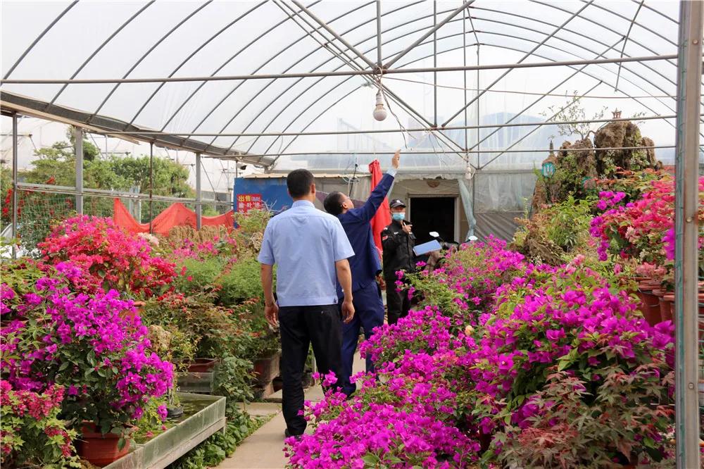 中国沭阳国际花木城在哪个城市,沭阳花木城的发展