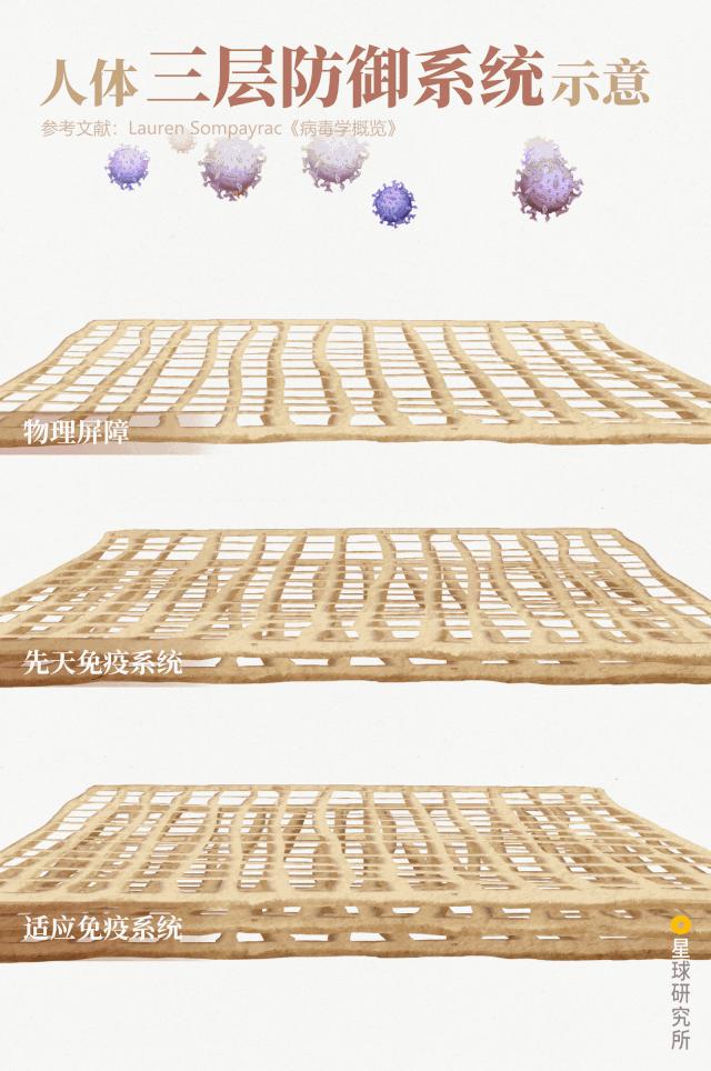 医生和病毒作战,我们如何对付病毒