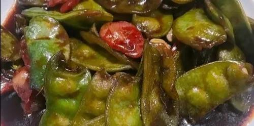 不可小瞧的猫毛,不可小瞧的扁豆