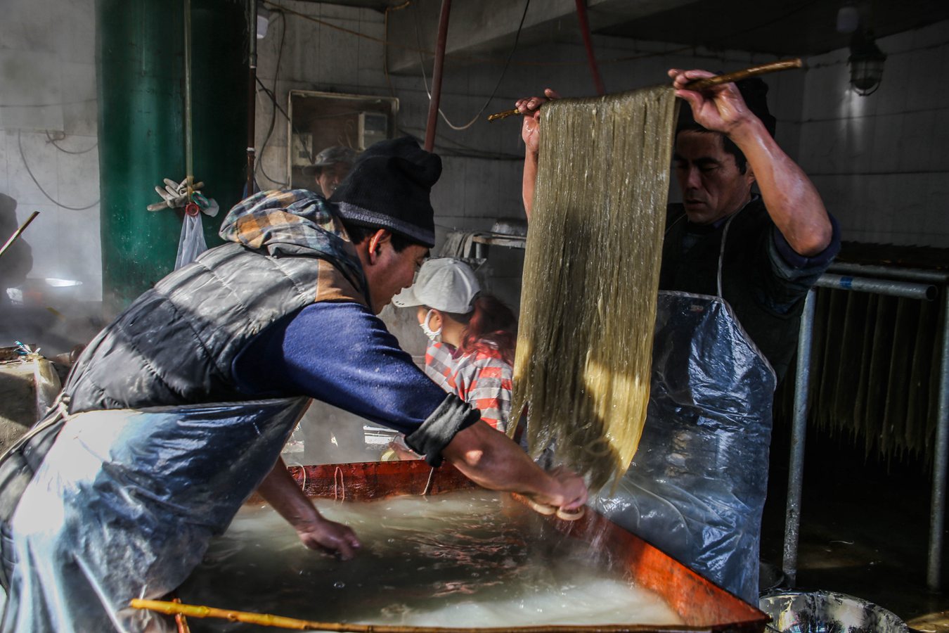 即将消失的美食味道,纯人工红薯粉条制作工艺