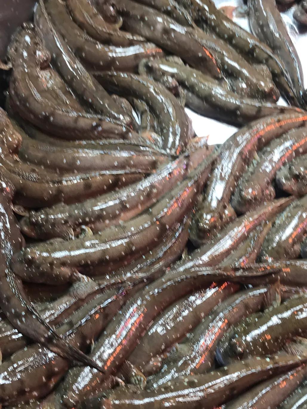 珠海斗门哪里海鲜便宜,吃货必去的海鲜城市