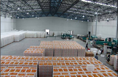 网上买水果可靠吗,网上买车厘子靠谱吗