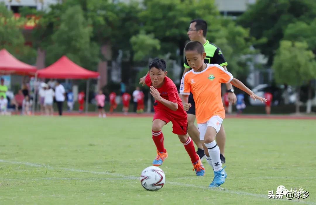 区中小学足球联赛,体教融合杯中学篮球赛