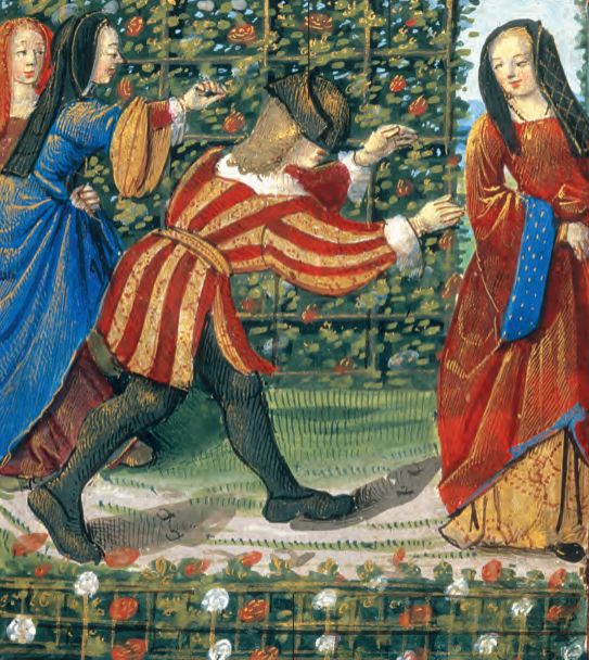 红衣主教来历,红衣主教月季分布区域