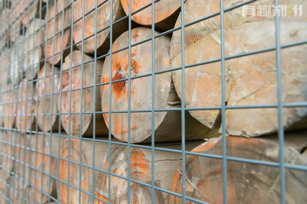 过节没时间去玩,郑州冬天必打卡的公园