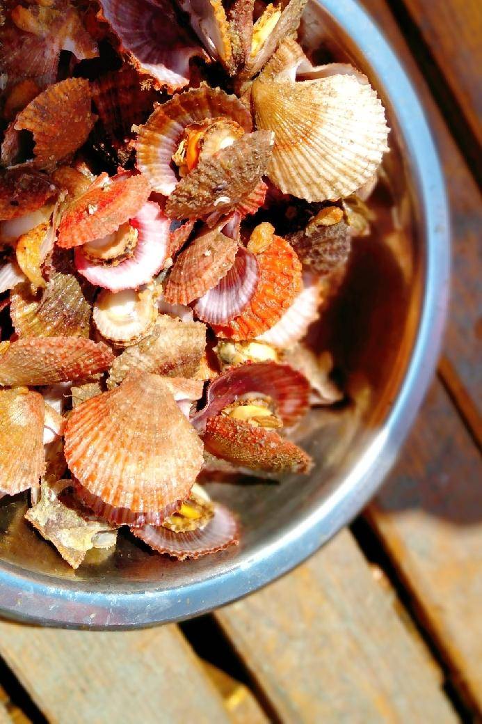 10元的鲍鱼能买吗,10元一斤的鲍鱼