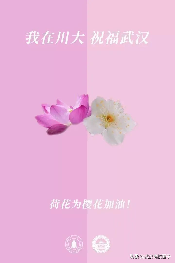 爸妈我想回家视频,爸妈我想回家了原视频