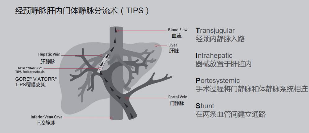 南昌大学二附院消化外科主任,南昌大学一附院消化内科专家排名