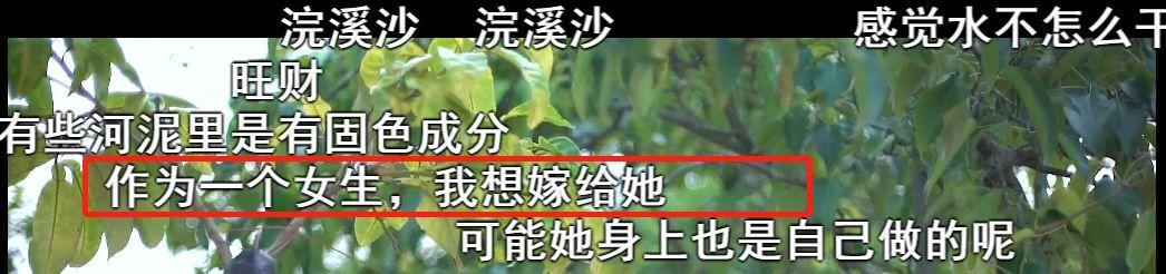 她凭“中华之美”圈粉海外，却被国内网民骂成筛子