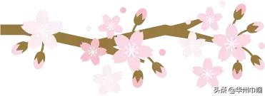 头条|渭南市华州区家庭教育讲师团志愿者招募公告