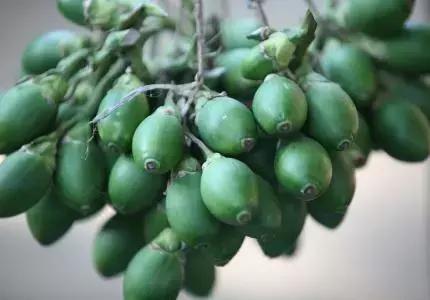 美国公布癌症预防指南,美国癌症健康指南