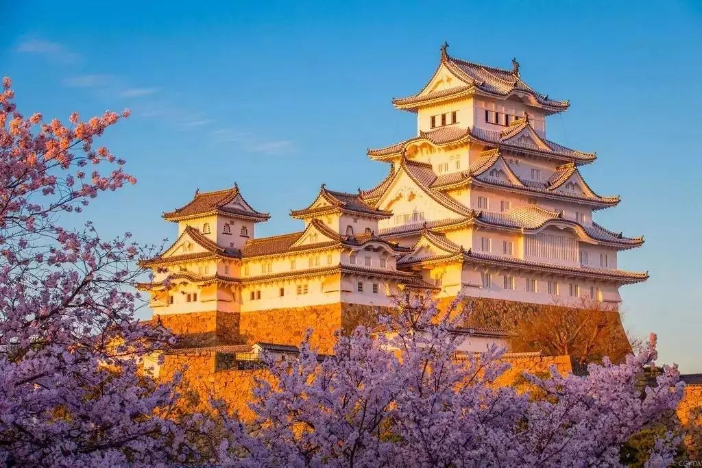 日本赏樱花前三名城市,日本樱花排行榜