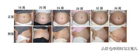 怀孕1到10个月需要注意什么,怀孕期间1-10个月的注意事项