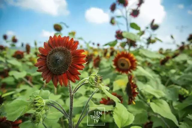 武汉最新古与潮室内网红打卡点,武汉周边新晋7大网红打卡地