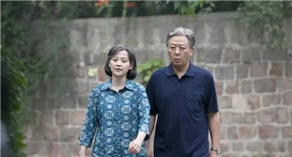 大江大河值得看的一部电视剧,大江大河中好看的电视剧