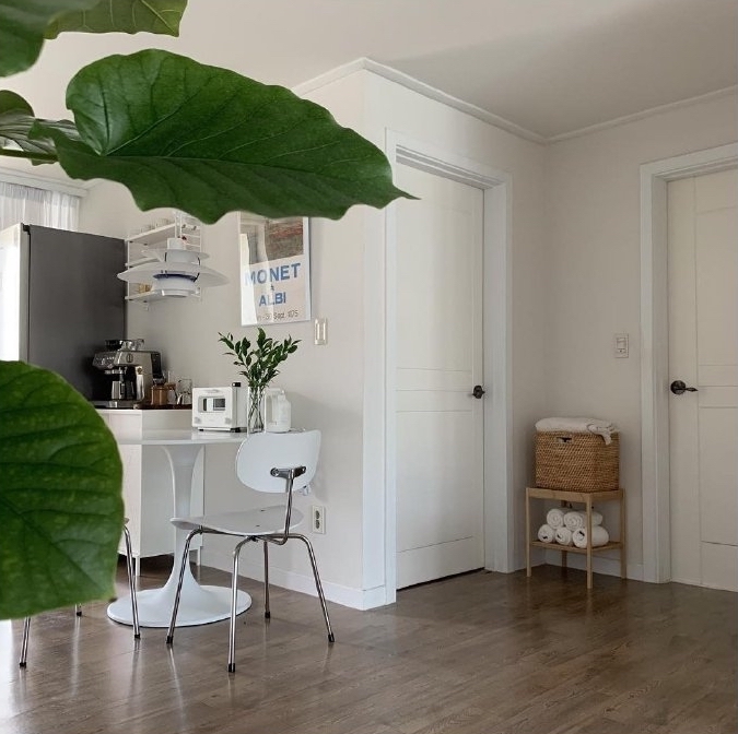 韩式风格武道馆装修,韩式风格店铺装修