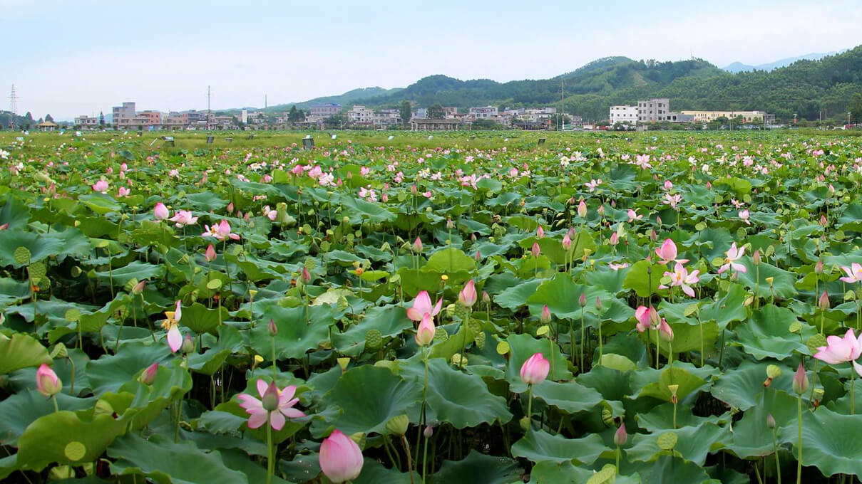 四川旅游踩坑的地方,贵州旅游踩坑