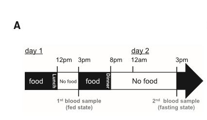 细胞饥饿疗法,细胞饥饿对细胞周期的影响