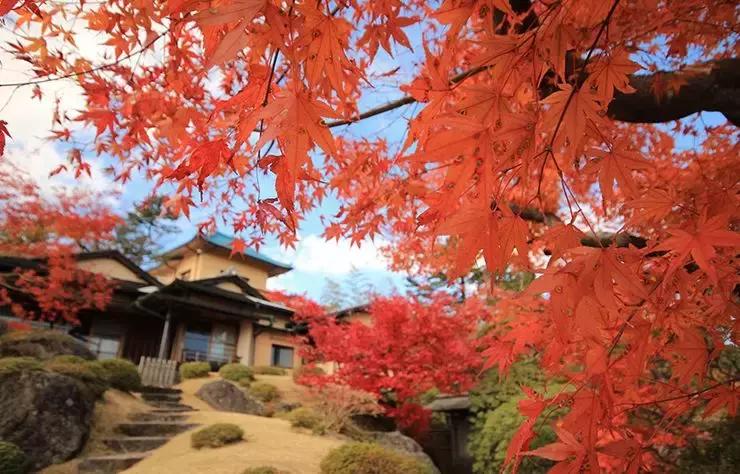 日本十大著名美术馆,日本国立新美术馆