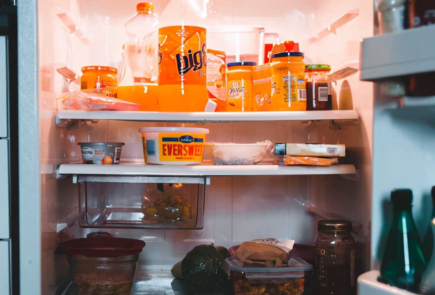 冰箱里有哪些细菌对人体的危害,长期不清洗的冰箱有多少种细菌