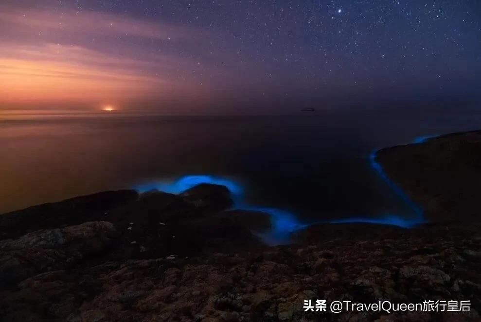 动物森友会无人岛一天可以去几次,动物森友会所有虫类图鉴