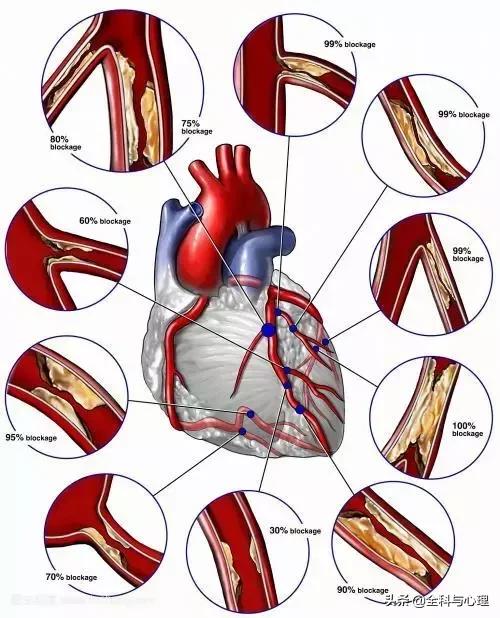 心脏说明书,这份通俗易懂的心脏说明书请收好