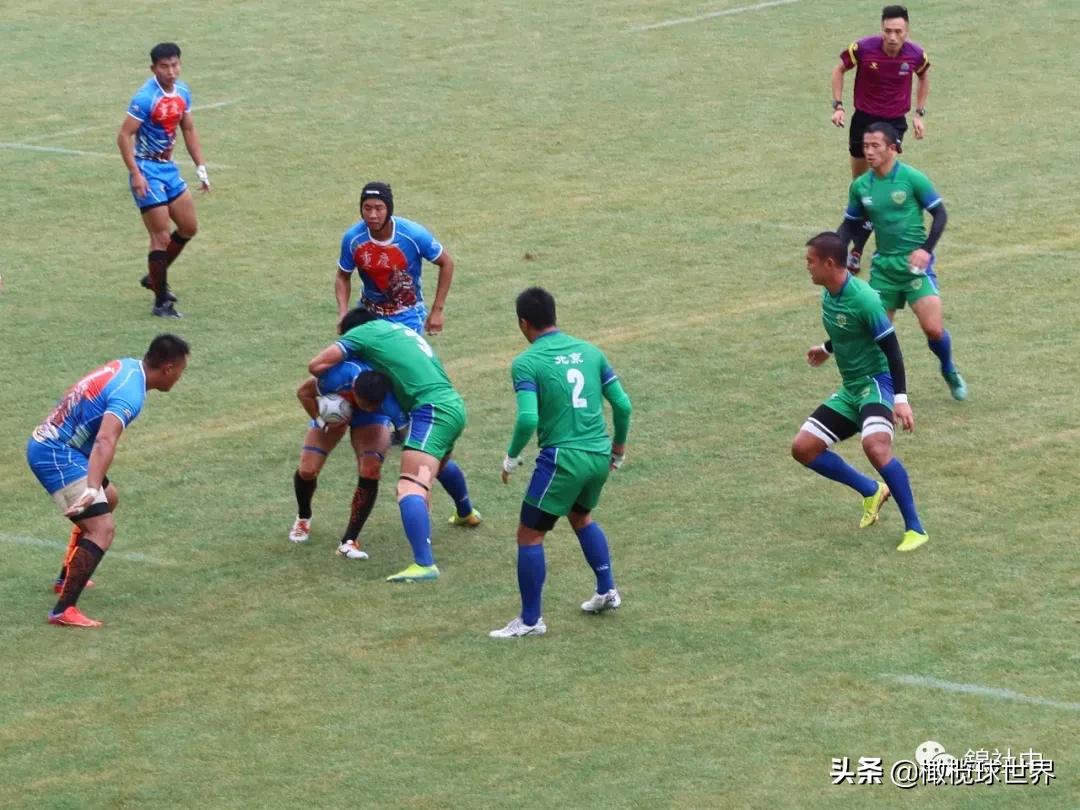 我和我的体育故事,我和运动会的故事