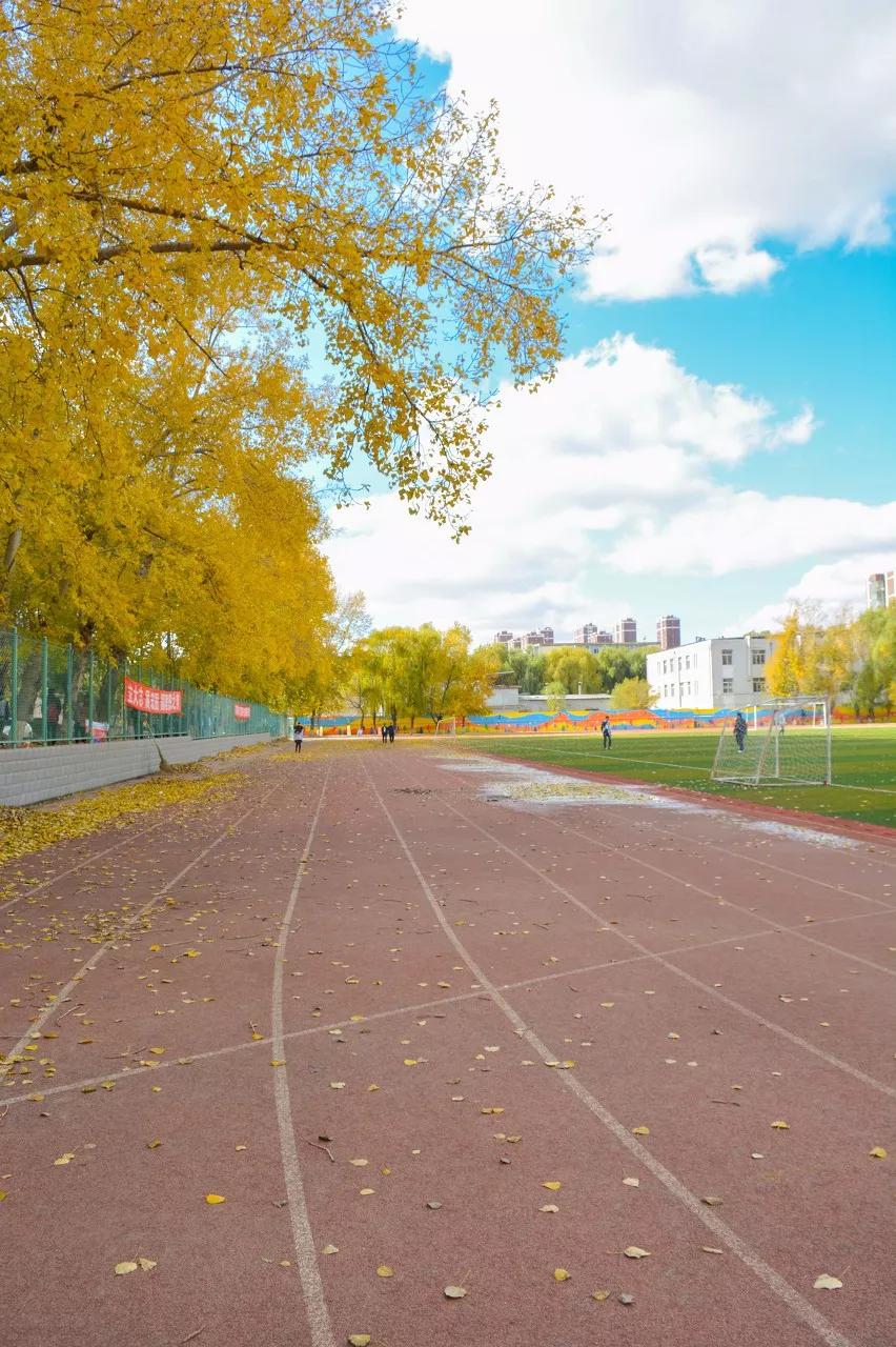 东北三省最适合宜居的城市,东北三省宜居养老城市