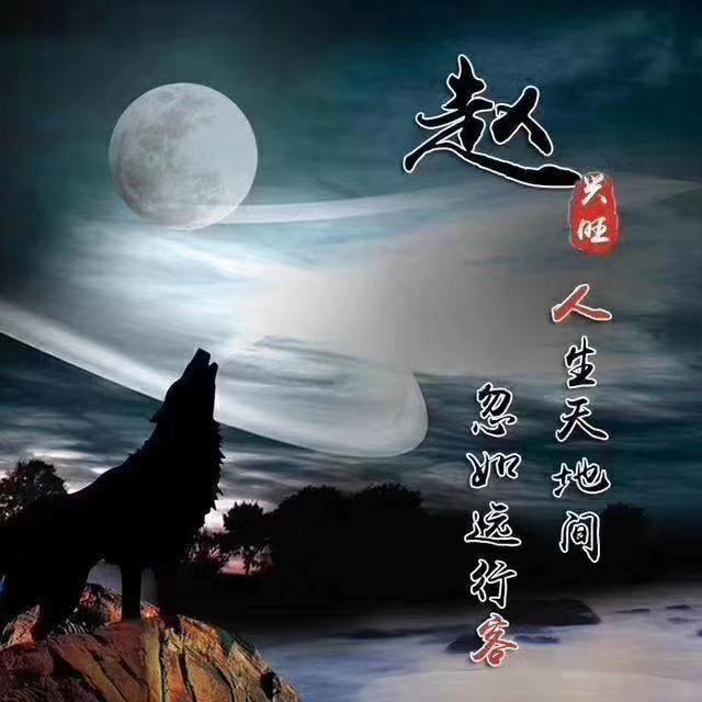 狼励志微信头像,狼的微信头像励志