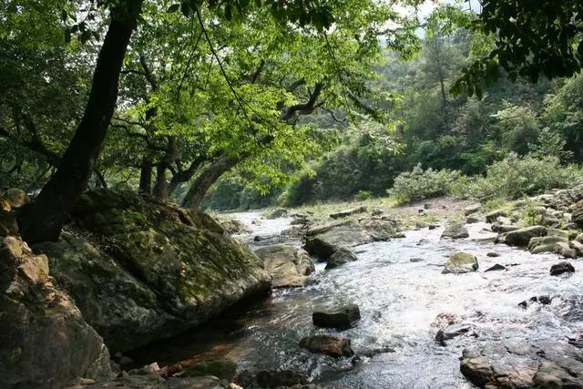 广西最发达的五个县级市,广西最发达6座城市