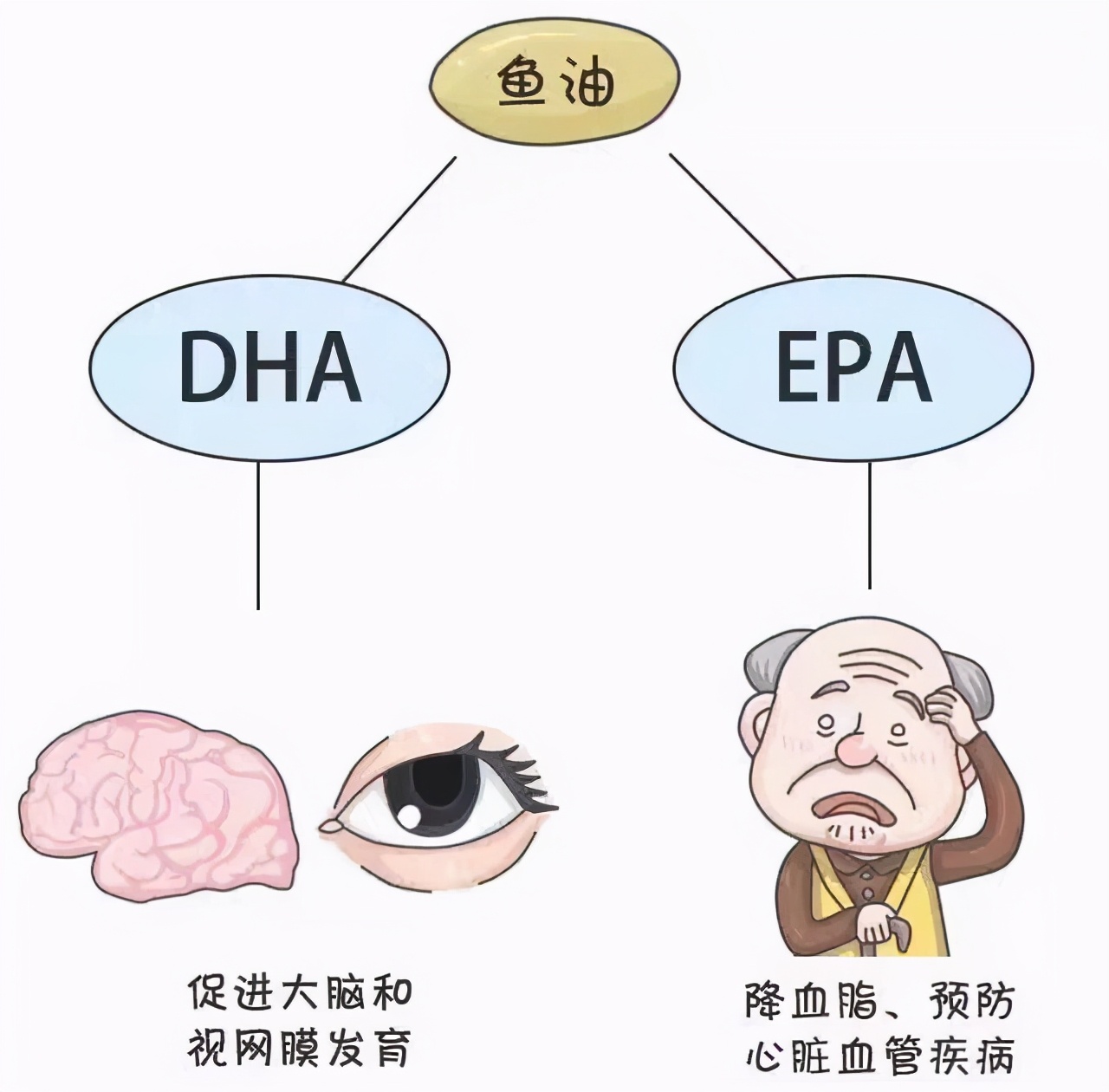 药师解药,鱼油鱼肝油别傻傻的分不清楚