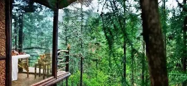 莫干山民宿很厉害吗,莫干山民宿推荐轻奢