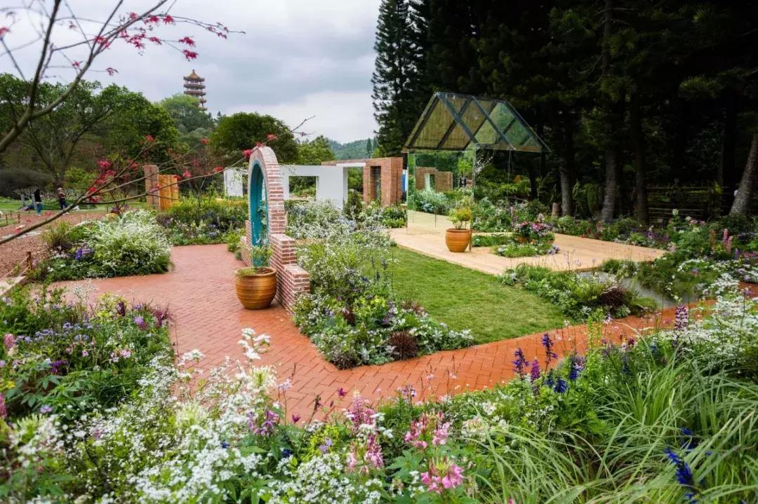 未来10天预警，深圳最最最最火的地方在这里，美女都赶来打卡